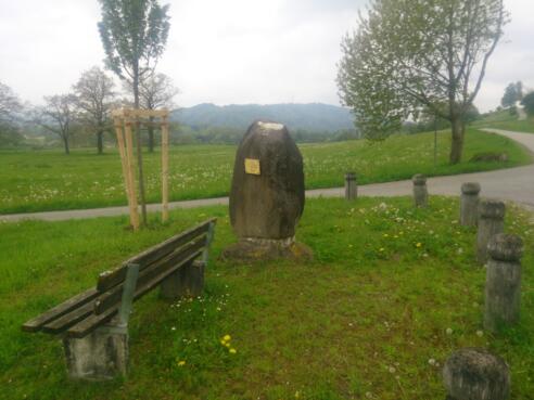 Findling Reiselsberger Sandstein