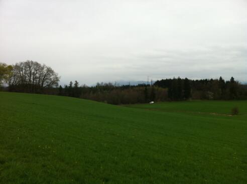 Alpenbanorama vor Achberg