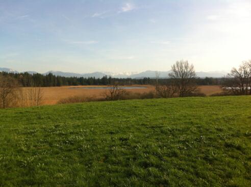 Der Ursee bei Seeshaupt vor einem grandionen Alpenpanorama
