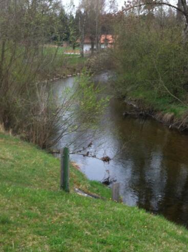 Die Eyach bei Kreilhof