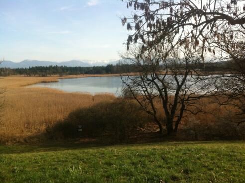 Aussicht auf den Gartensee