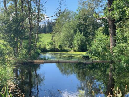 Der Zierteich neben dem Parkplatz am Anfang der Route