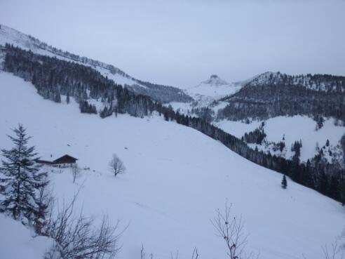 Nigelkaralm und Schmittenstein