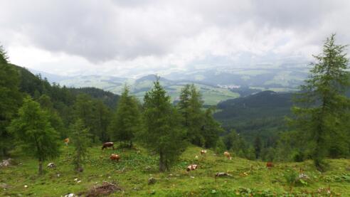 Ausblick auf Abtenau