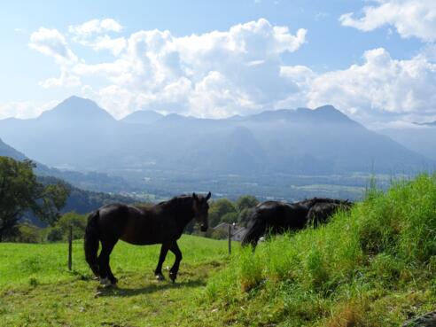 Aussicht in Obersulzberg