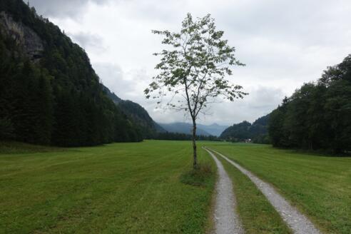 Kaiserbachtal