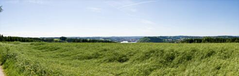 Freinberg