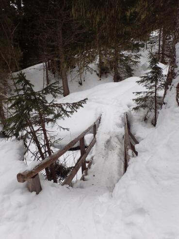 Der eingeschneite Steg über den Plareitbach