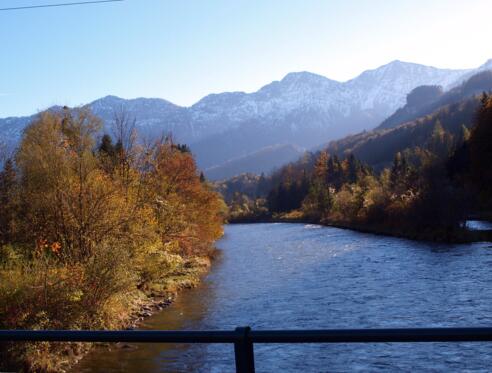 Traunbrücke 485m