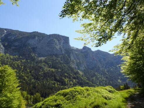 Herrlicher Ausblick auf die Gurrwand