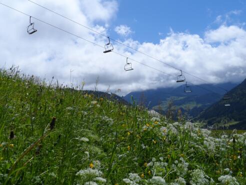 Blick ins Tal (bei Annaberg)