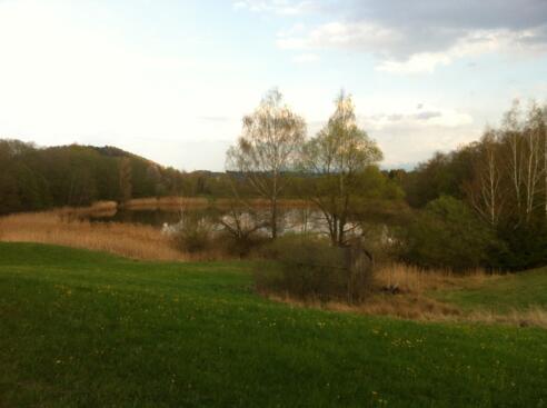 Weiher auf dem Guggenberg
