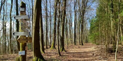 X-Klara-Ruh_Guckhüll