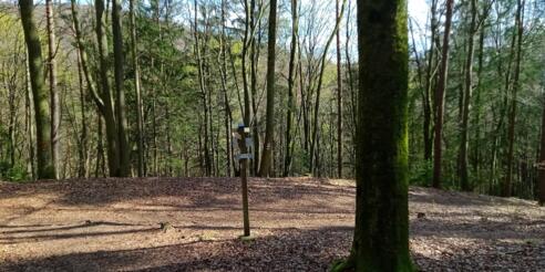 Pfaffenleitenweg-X-Fischersteig
