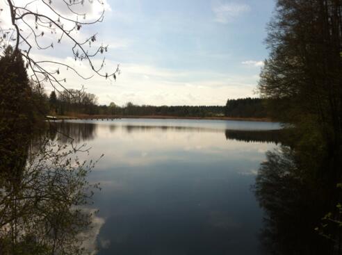 Der Wanderweg führt direkt am Alten Weiher entlang