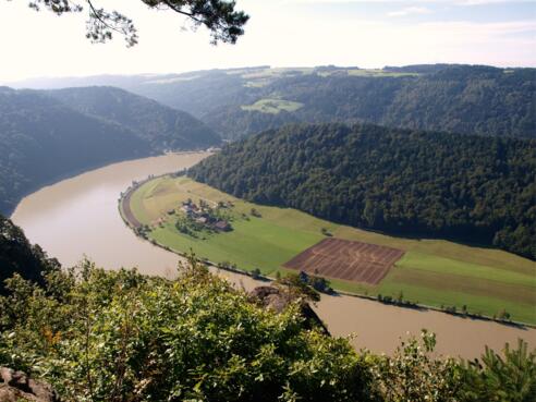 Steinerfelsen 543m mit Donaublick