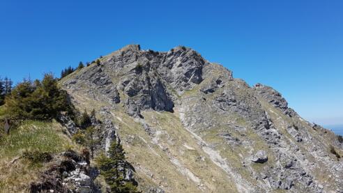 Gipfel Grubenkopf Naturpark Ammergauer Alpen