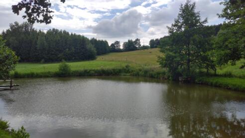 Am Teich