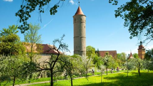 DINKELSBUEHL_Radeln-um-die-Altstadt_Andreas-Hub