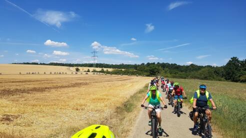 Radlerinnen und Radler beim Drei-Länder-Rad-Event