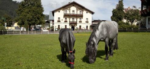 Gasthof Post