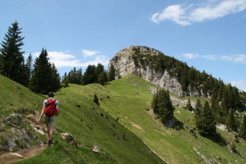 Neben den steilen und ausgesetzten Wegabschnitten, bietet die Tour auch sanfte und genussreiche Abschnitte.