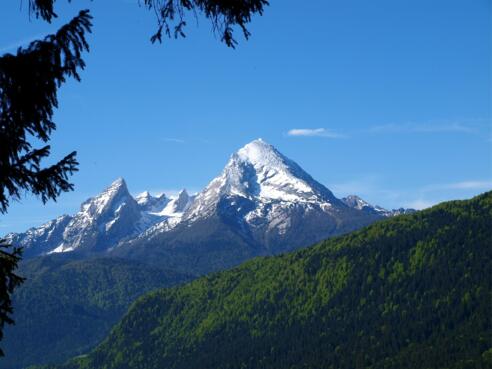  Kl. Rauher Kopf 1518 m, Watzmannblick