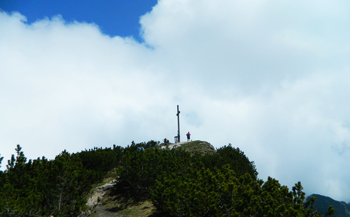 Karkopf