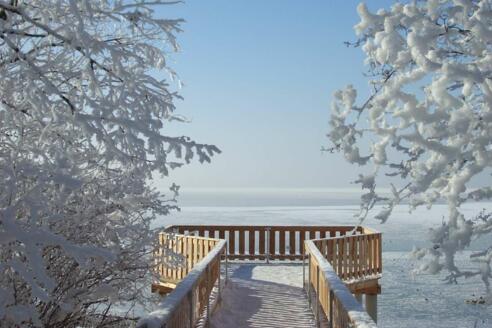 Naturbeobachtungsstation Chieming im Winter