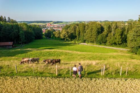 Aussichtspunkt Konohof bei Ottobeuren