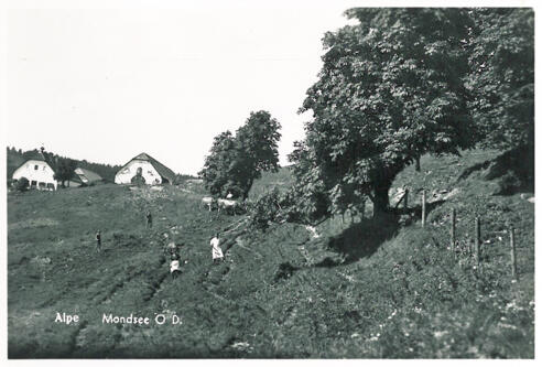 The former Mondseer Hochalm