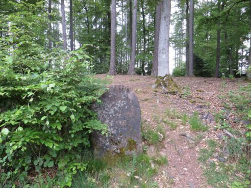 Der Schwabenstein