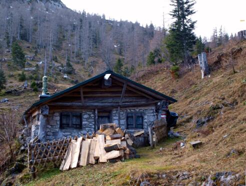 Laufenbergalm 1307m