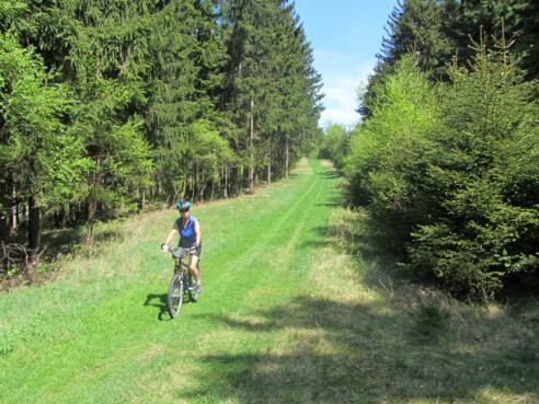 aufgelassenes Skigebiet Reichenstein