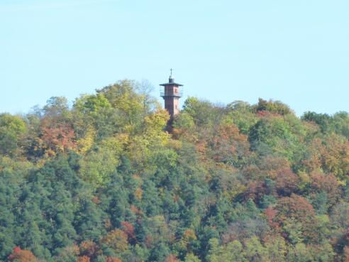 Schlossberg Regenstauf im Herbst