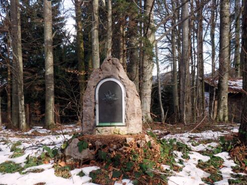 Hamberg 854m