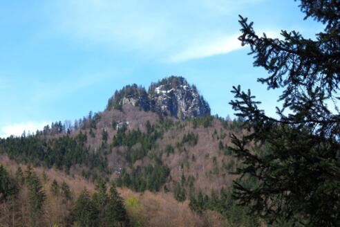 Donnerstein 1251m