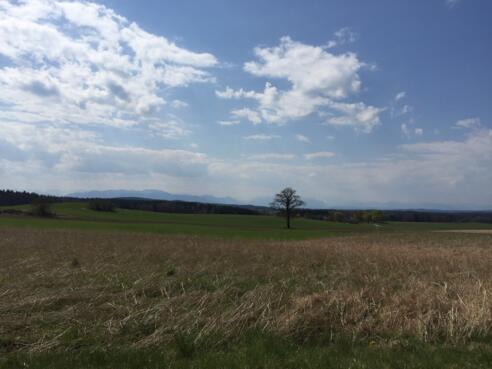Bergblick bei Attenham Richtung Thanning