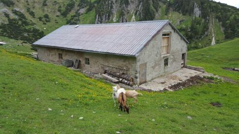 Die Jägerbauernalm