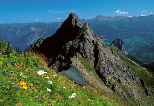 Schwarzhorn