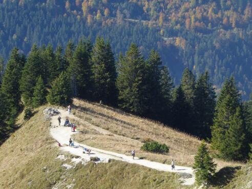 Blick auf die Schulter des Branderschrofen