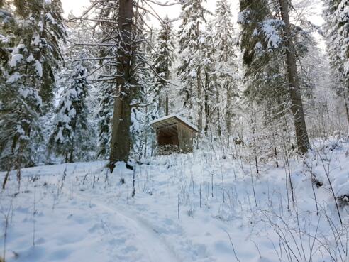 Unterstand am Königssteig