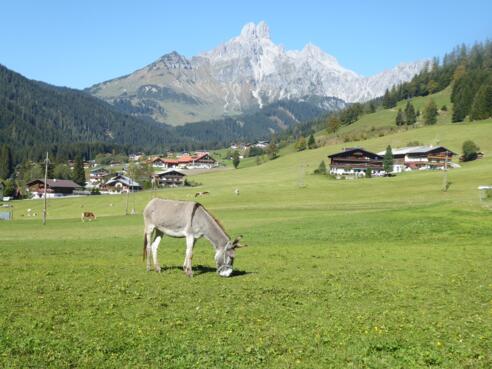 Blick auf das Filzmooser Wahrzeichen Bischofsmütze