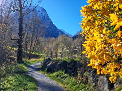 Herbststimmung an der Laufrunde entlang der Alvier