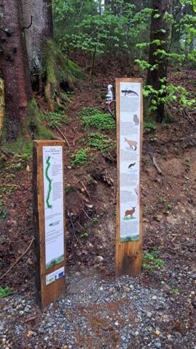 Station Waldnaturschutz Adelegg