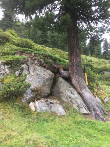 #2 Schatzsuche Hochoetz