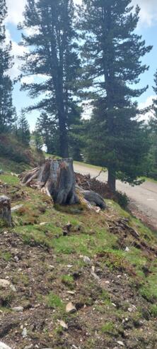 #4 Schatzsuche Hochoetz