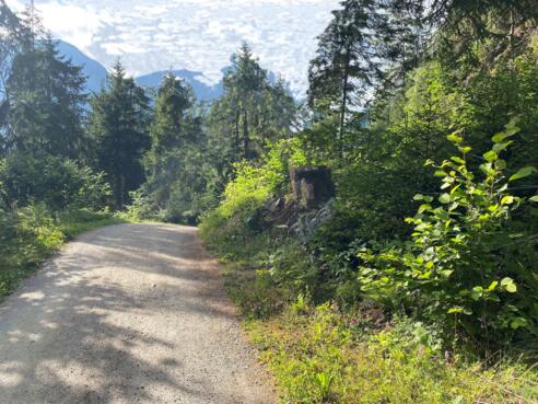 #3 Cache (Stuibenfallrunde)