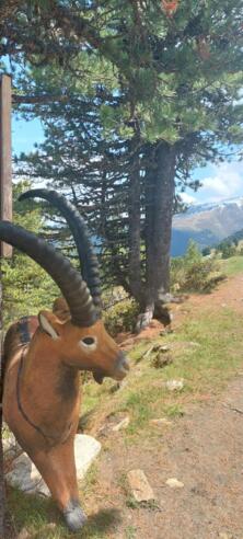 #1 Schatzsuche Hochoetz