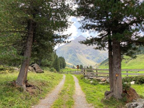 #7 Cache (Feldkögele Runde)